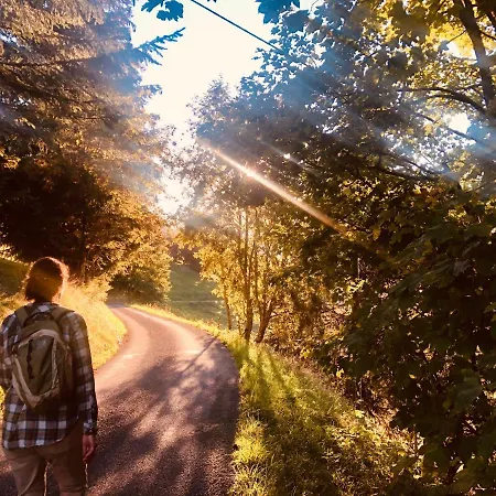 Boutique Panoramic Views Hot Tub Chalet Vers L'Eglise