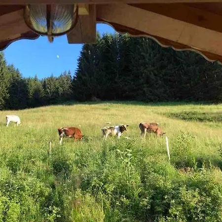 Boutique Panoramic Views Hot Tub