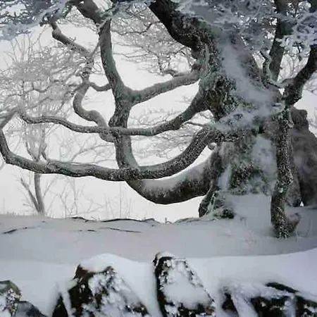 Boutique Panoramic Views Hot Tub *
