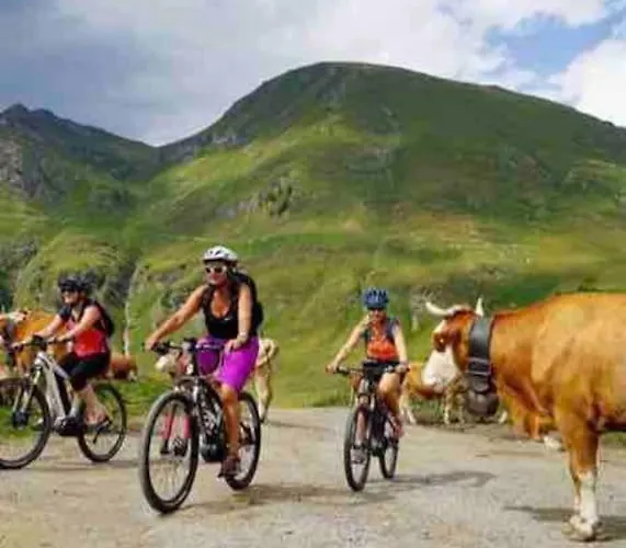 Boutique Panoramic Views Hot Tub Domek alpejski