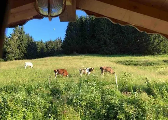Boutique Panoramic Views Hot Tub