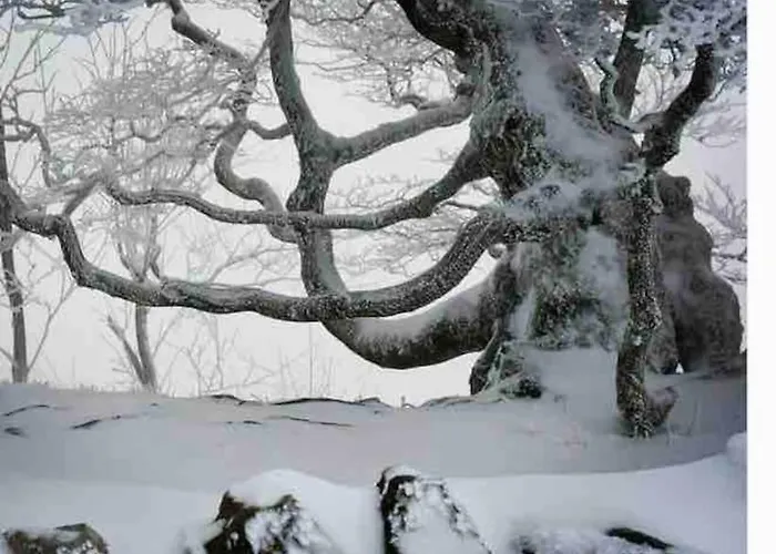 Boutique Panoramic Views Hot Tub *