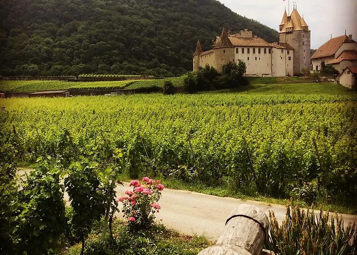 Boutique Panoramic Views Hot Tub Domek alpejski *