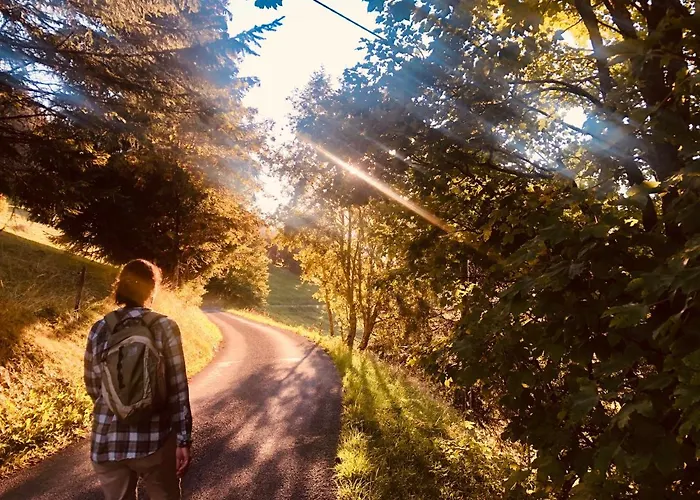 Boutique Panoramic Views Hot Tub Chalet Vers L'Eglise