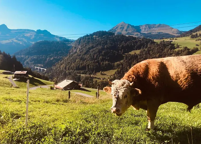 Boutique Panoramic Views Hot Tub Vers L'Eglise