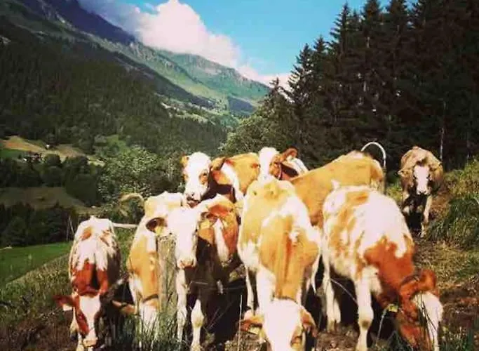 Boutique Panoramic Views Hot Tub