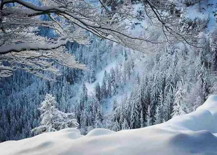 Boutique Panoramic Views Hot Tub